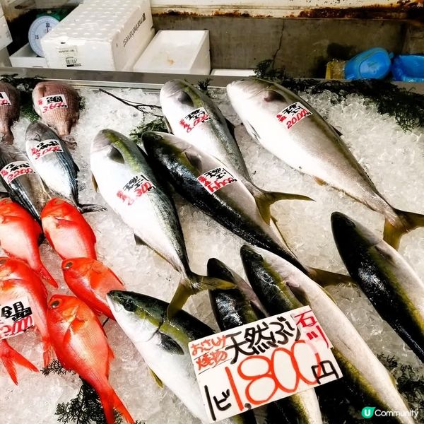 新潟寺泊魚市場通🦀 冬日海鮮盛宴！