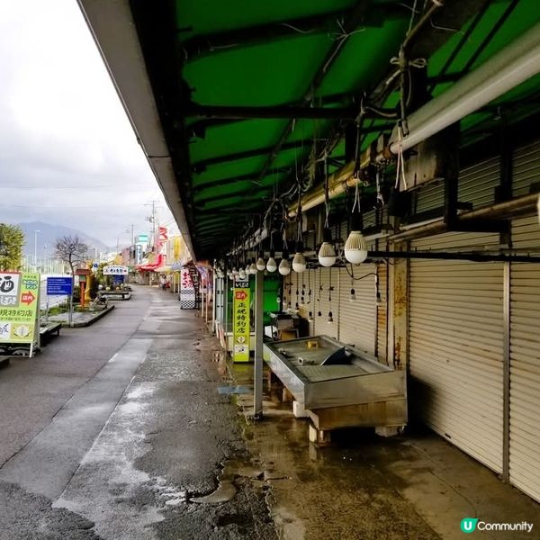 新潟寺泊魚市場通🦀 冬日海鮮盛宴！