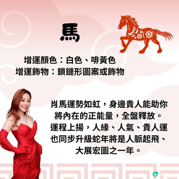 雲文子師傅12生肖運勢2025