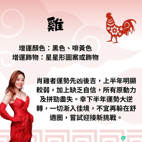 雲文子師傅12生肖運勢2025