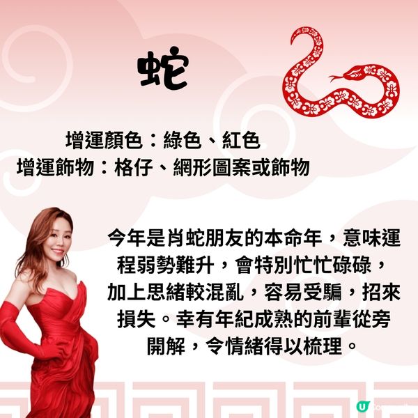 雲文子師傅12生肖運勢2025