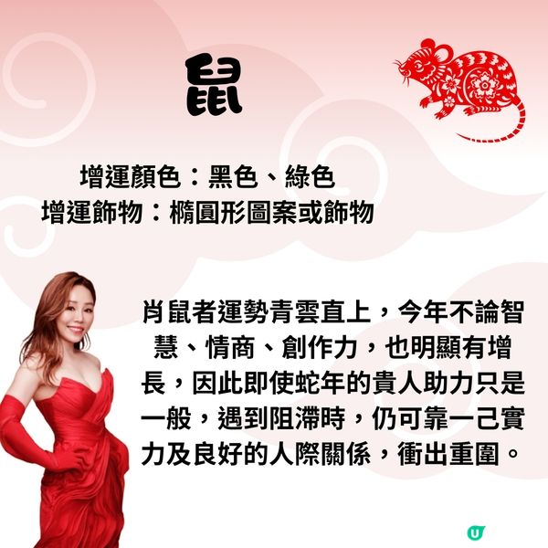 雲文子師傅12生肖運勢2025