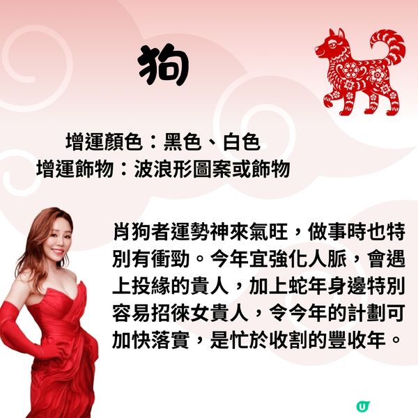 雲文子師傅12生肖運勢2025