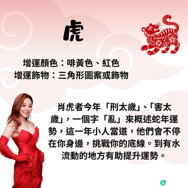 雲文子師傅12生肖運勢2025