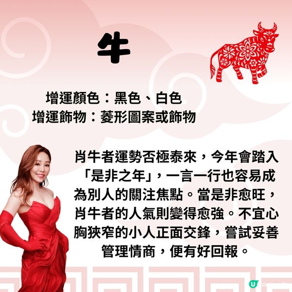 雲文子師傅12生肖運勢2025