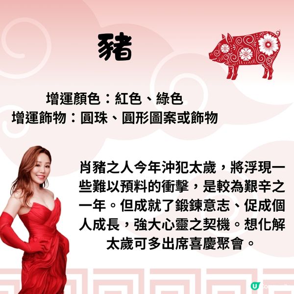 雲文子師傅12生肖運勢2025