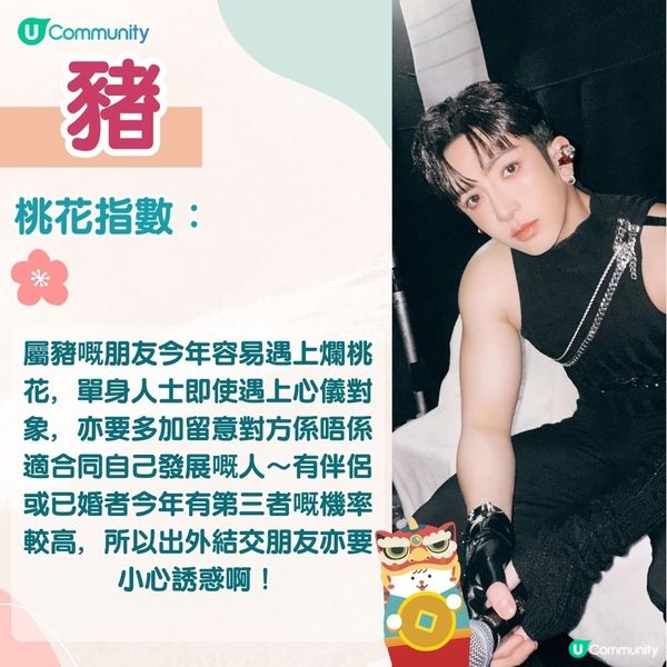 農曆新年2025｜蛇年12生肖桃花運！