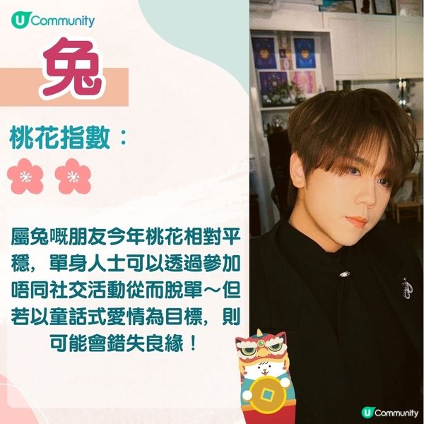 農曆新年2025｜蛇年12生肖桃花運！