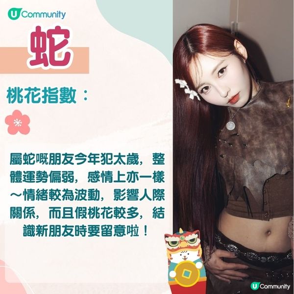 農曆新年2025｜蛇年12生肖桃花運！