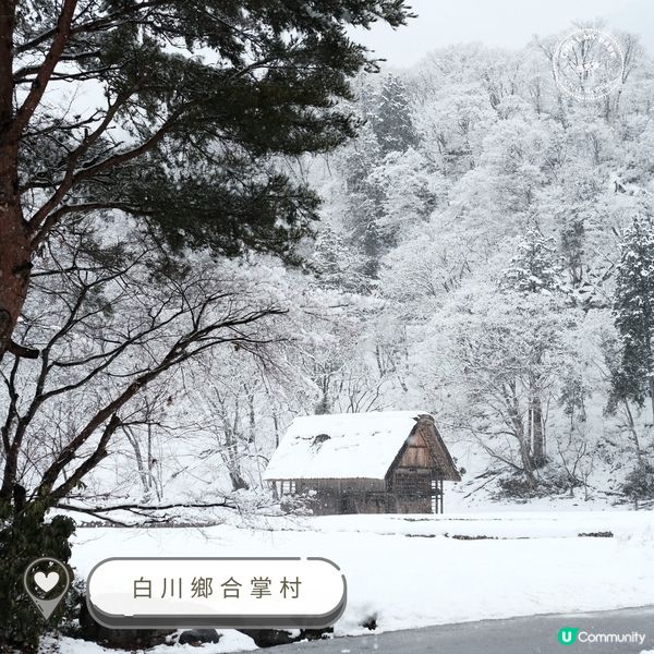 白川鄉合掌村❄️  夢幻雪景之旅！🤩