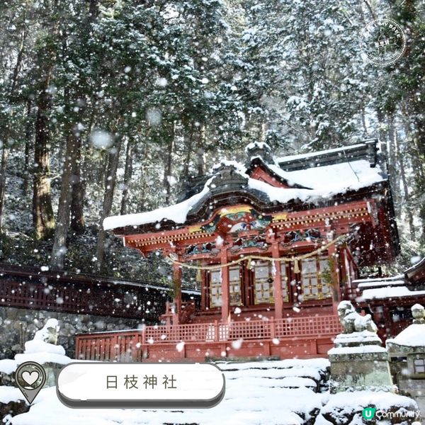 白川鄉合掌村❄️  夢幻雪景之旅！🤩