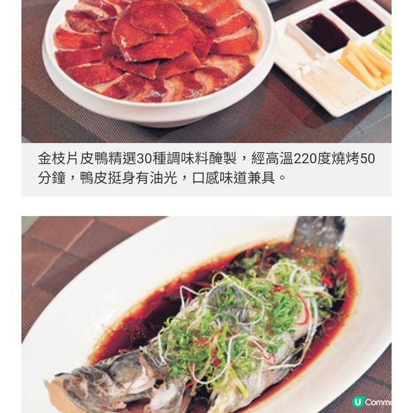 良朋共聚金枝玉葉金玉滿堂美饌
賀新春