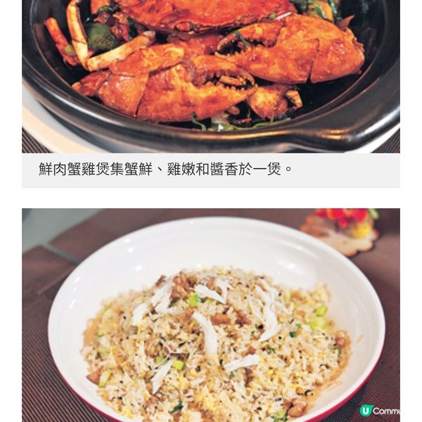 良朋共聚金枝玉葉金玉滿堂美饌
賀新春