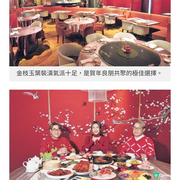 良朋共聚金枝玉葉金玉滿堂美饌
賀新春