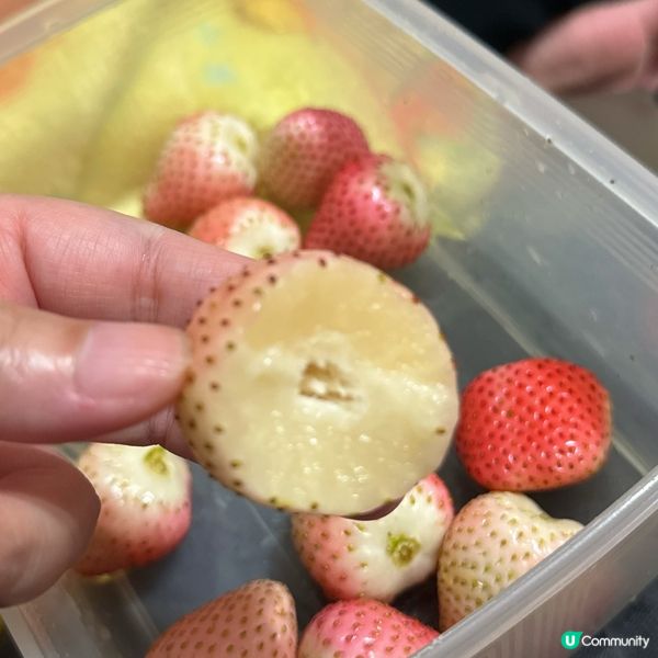 雲南粉脂限定士多啤梨🍓你試左未？