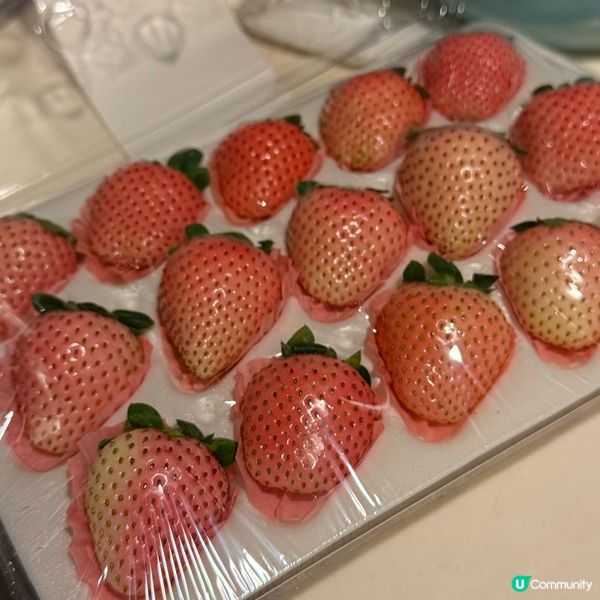 深圳掃貨🍓雲南粉脂🍓甜到爆💥