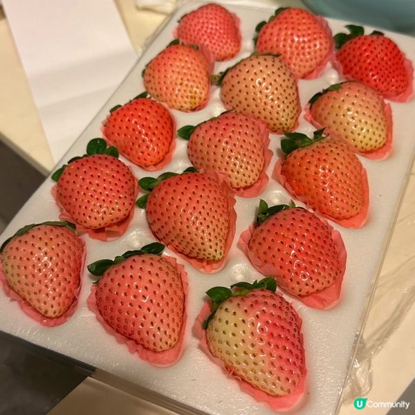 深圳掃貨🍓雲南粉脂🍓甜到爆💥