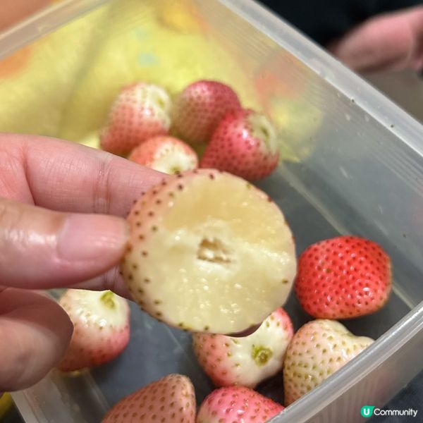 深圳掃貨🍓雲南粉脂🍓甜到爆💥