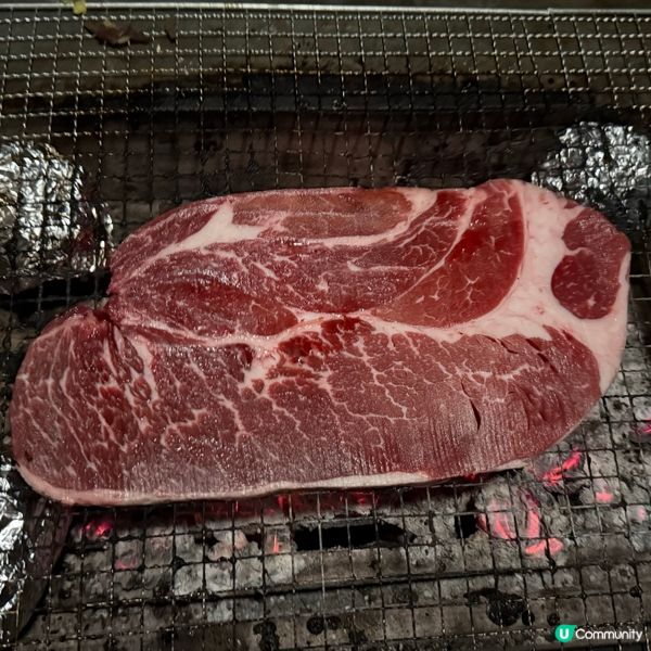 最凍既DAY CAMPING!!!!🏕️ 