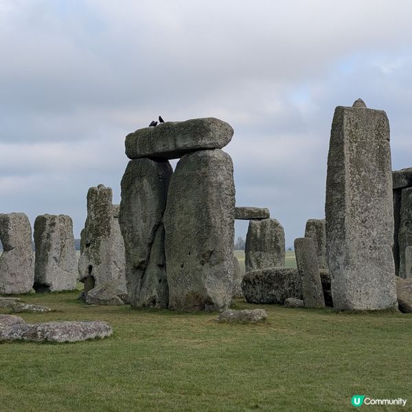 英國🐤特種兵一日團，溫莎巨石巴斯