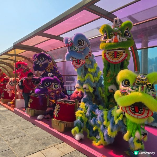 琳琅滿目醒獅隊