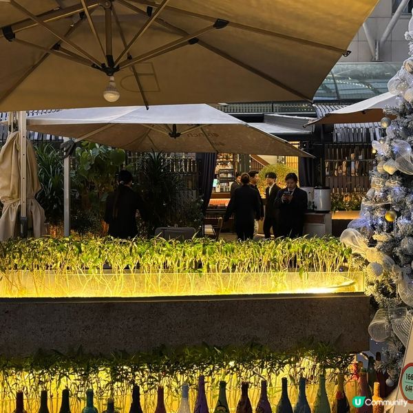 聖誕大餐中伏了