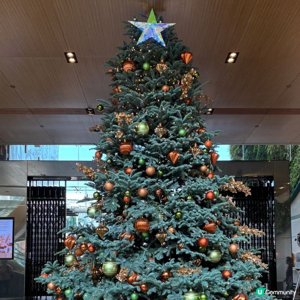 性價比不算高的港女下午茶