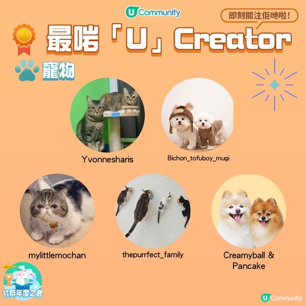 《社群》主題追蹤人次突破百萬🥳！網民最愛帖文🌟攻略主題原來係...?