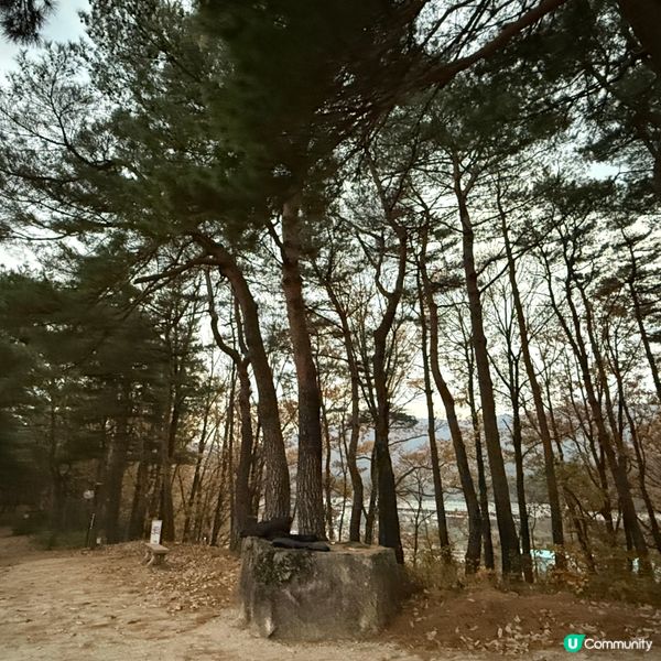 韓國🇰🇷食韓國豬手～