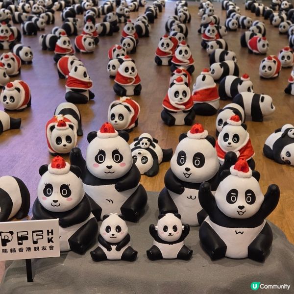 Panda go! 香港遊：熊貓登陸愉景新城