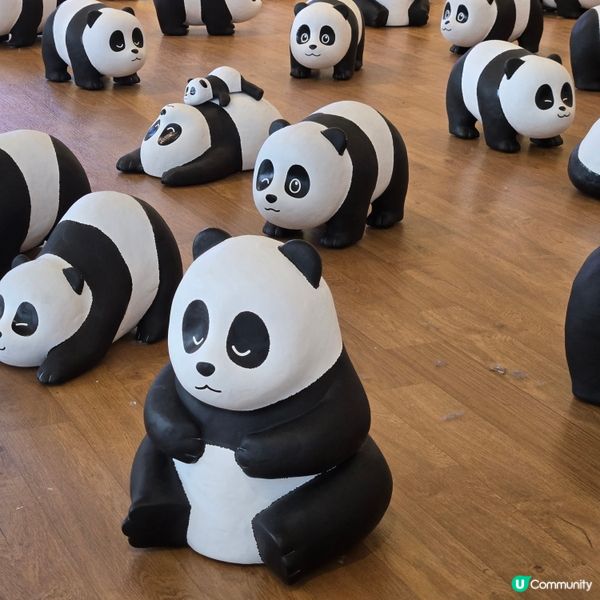Panda go! 香港遊：熊貓登陸愉景新城