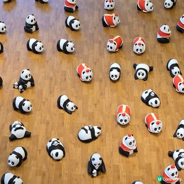 Panda go! 香港遊：熊貓登陸愉景新城