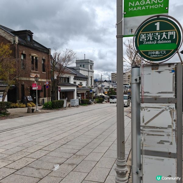 長野必去秘景！善光寺、戶隱神社、杉樹林 🌳✨