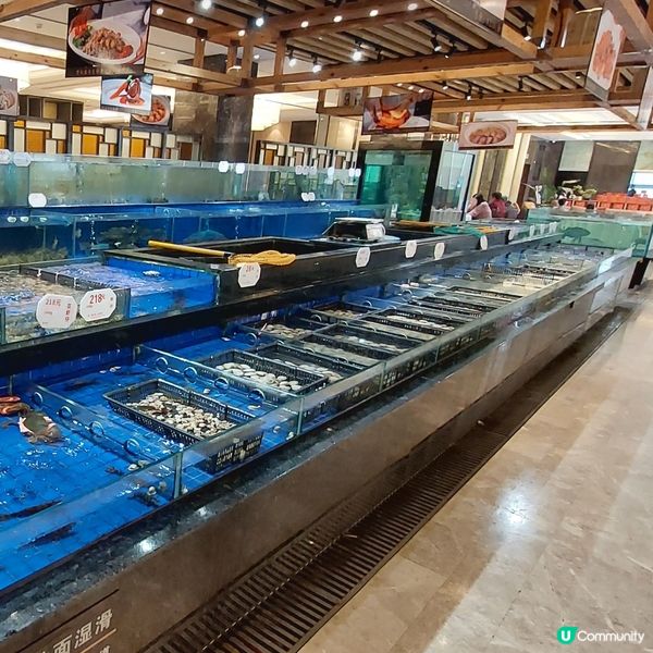 🫖☕️海港城大酒樓