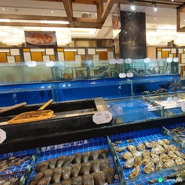 🫖☕️海港城大酒樓