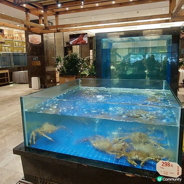 🫖☕️海港城大酒樓