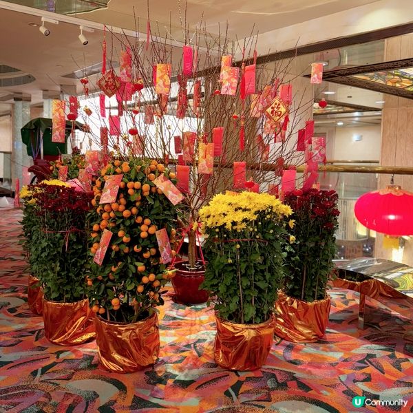 美味年糕@Regal Hotels