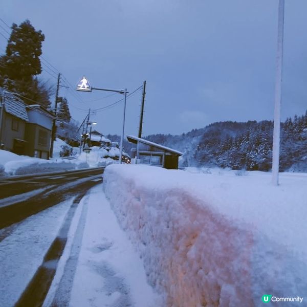 新潟積雪幾深？😱🤯