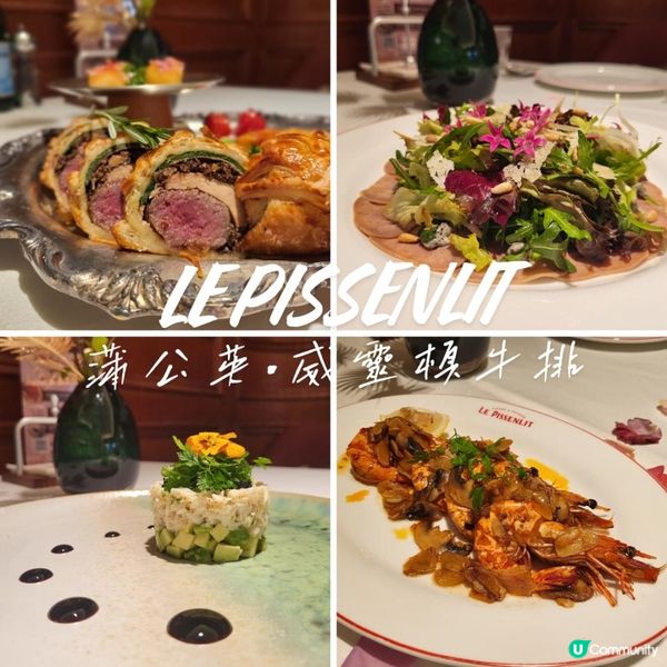 又浪漫又溫馨的蒲公英