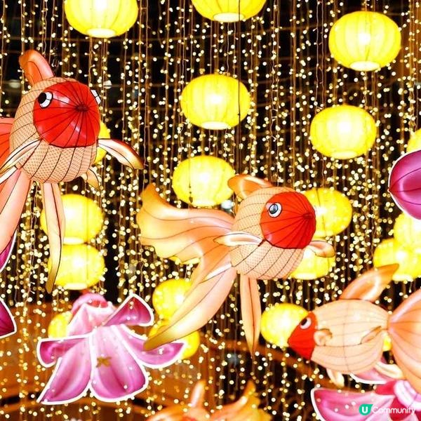 黃金海岸新春呈獻「魚躍龍門 百福具臻」彩燈會 