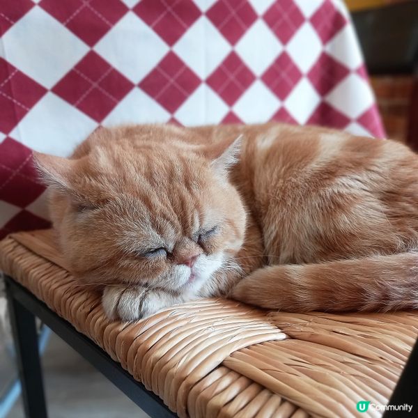 過一個恬靜浪漫的情人節