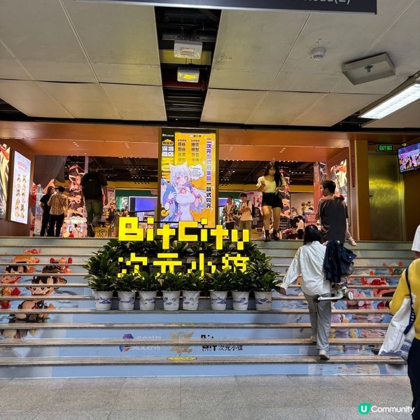 ## 深圳燒肉天花板🔥  森順碳烤鰻魚🤤