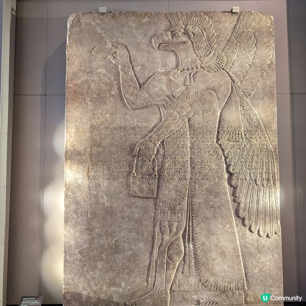 🐤牛津的阿什莫林博物館