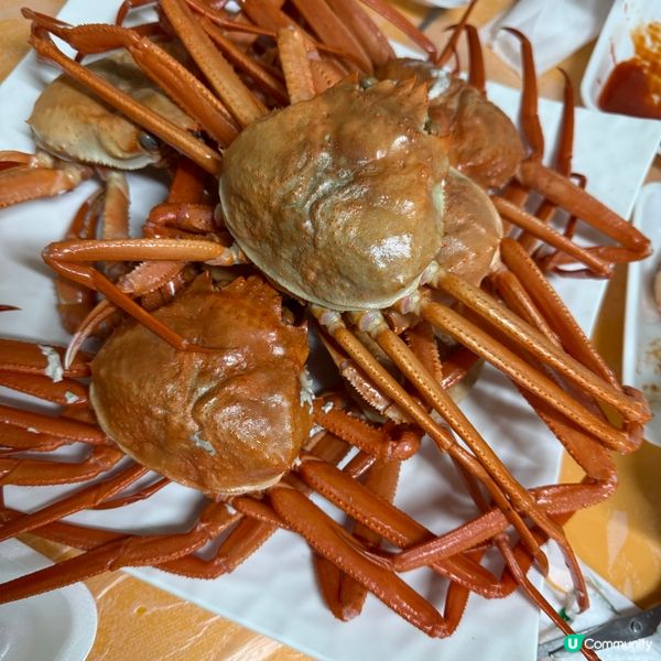 韓國🇰🇷 蒸雪蟹放題🦀