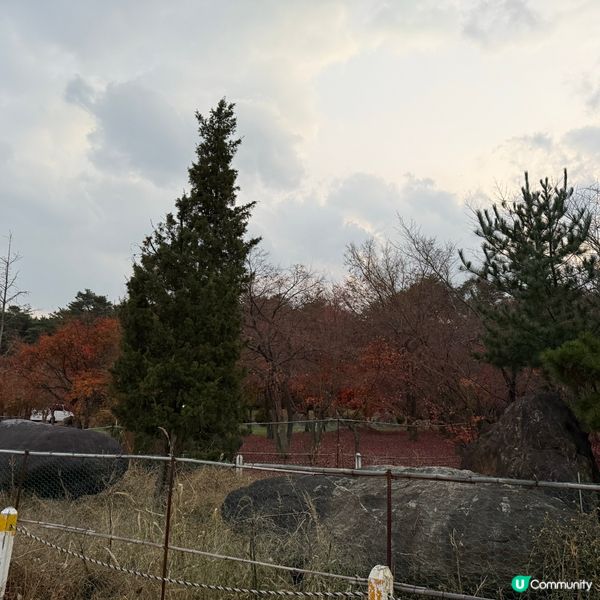 韓國🇰🇷 蒸雪蟹放題🦀