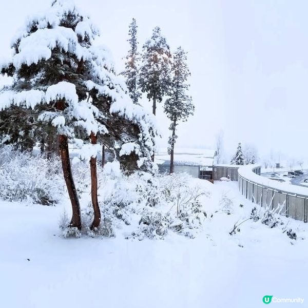 ## 新潟住宿推介 🏔️  
## 越後湯沢溫泉酒店 ♨️