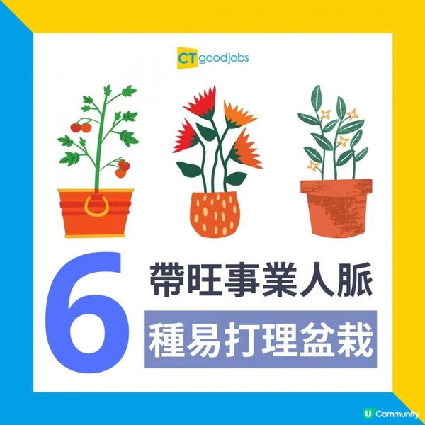 【2025蛇年職場風水丨辦公桌風水擺位】辦公室切忌放假花？不利個人運勢？6種方便打理、帶旺事業人脈的花卉盆栽 大大催旺事業運