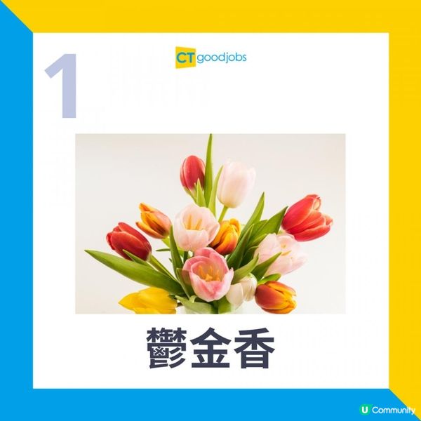 【2025蛇年職場風水丨辦公桌風水擺位】辦公室切忌放假花？不利個人運勢？6種方便打理、帶旺事業人脈的花卉盆栽 大大催旺事業運