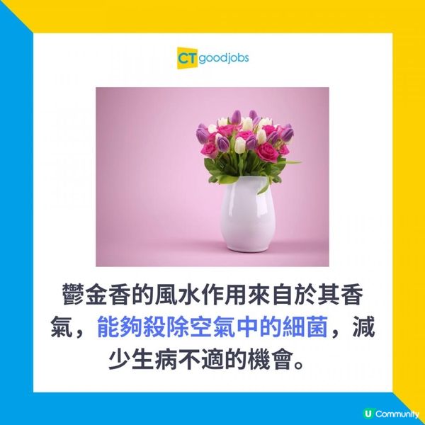 【2025蛇年職場風水丨辦公桌風水擺位】辦公室切忌放假花？不利個人運勢？6種方便打理、帶旺事業人脈的花卉盆栽 大大催旺事業運