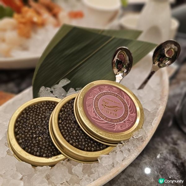 日本海膽 魚子醬 輕鬆回本